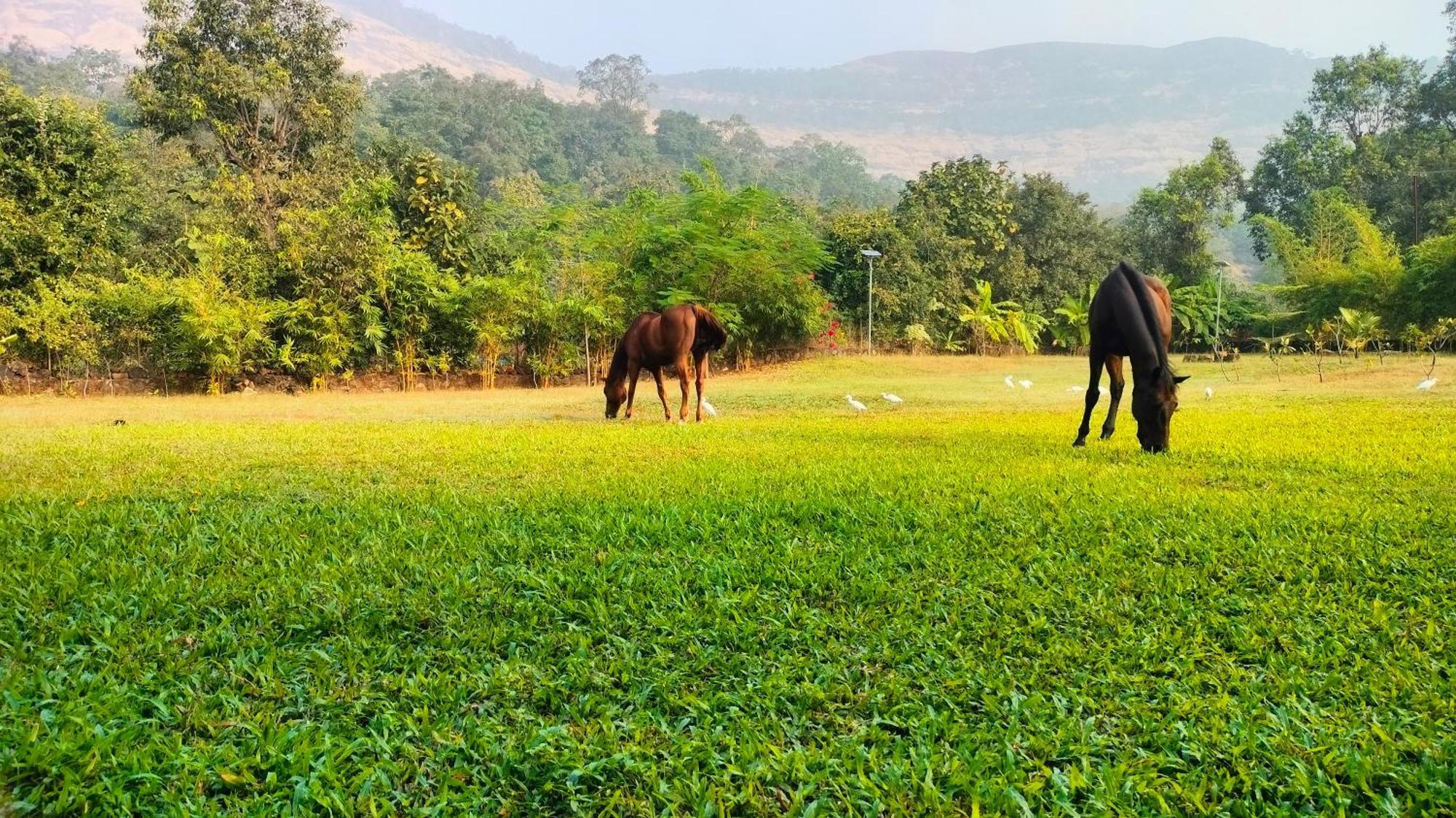 King'S Landing Villa Karjat Esterno foto